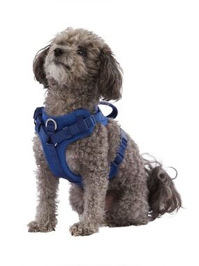Top Paw Blue XXS Dog Harness